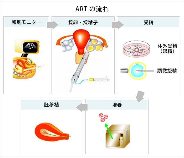 安静 後 妊娠 射精