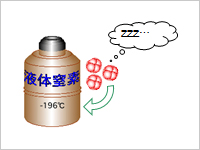 出産予定日 胚移植 胚移植、自然周期か?ホルモン補充周期か?悩んでいます。明日でプラノバール終わり!来週から移植…