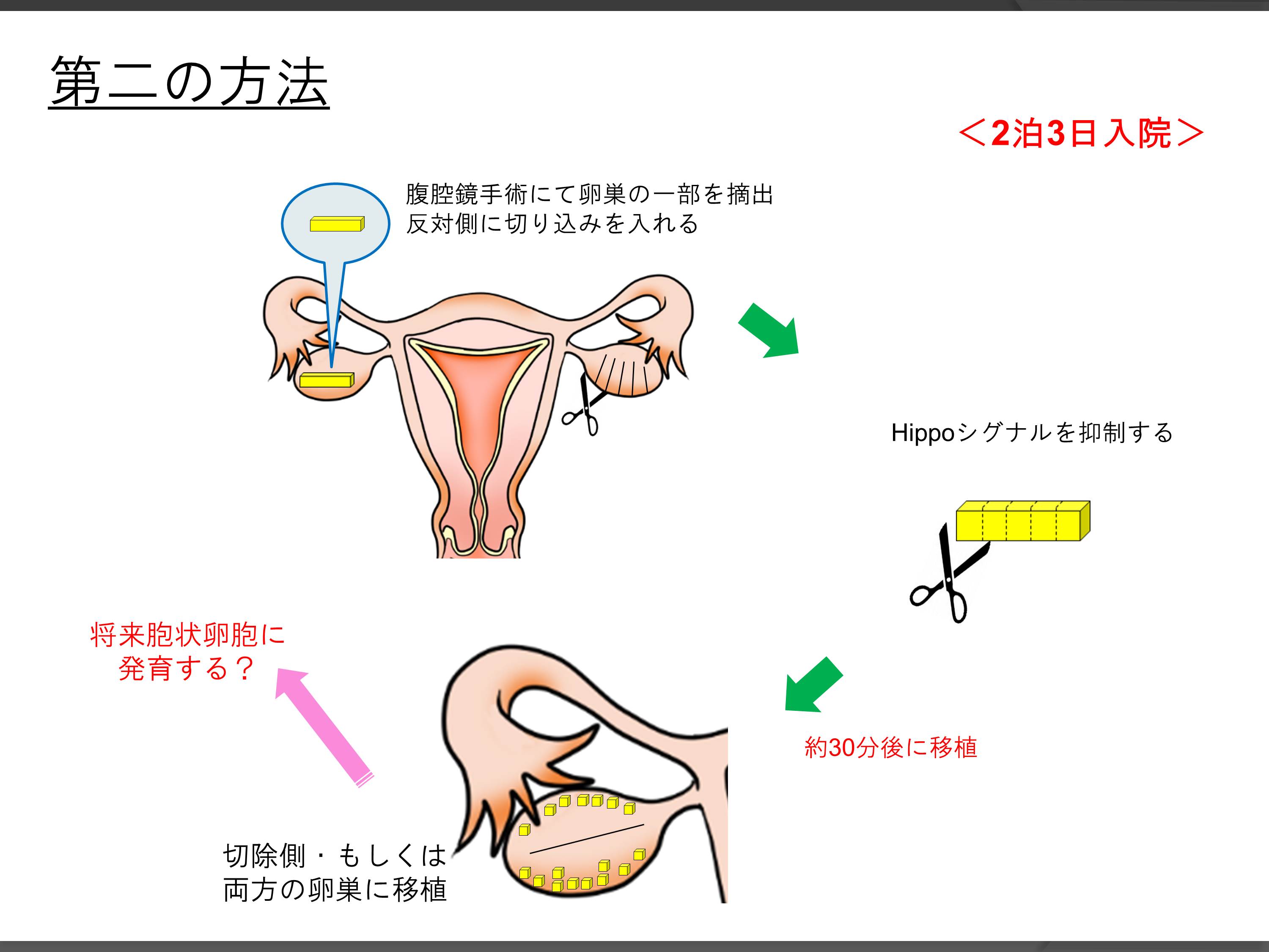 ブルーベリーは2型糖尿病患者に適して