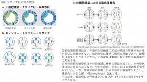 PGT-A,-SR図7