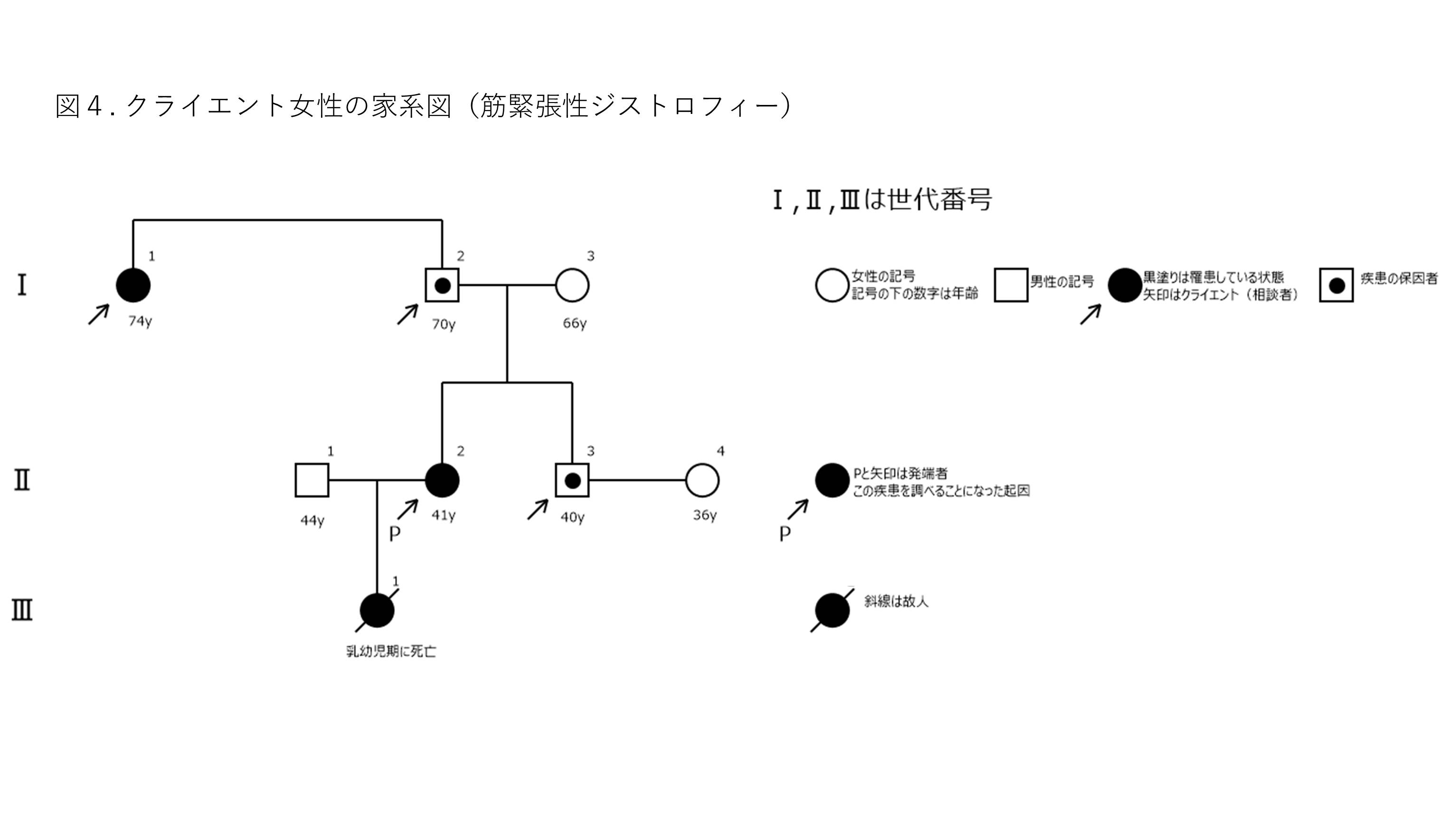 新しい家族の誕生