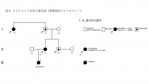 PGT-M_図4