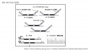 PGT-M_図6