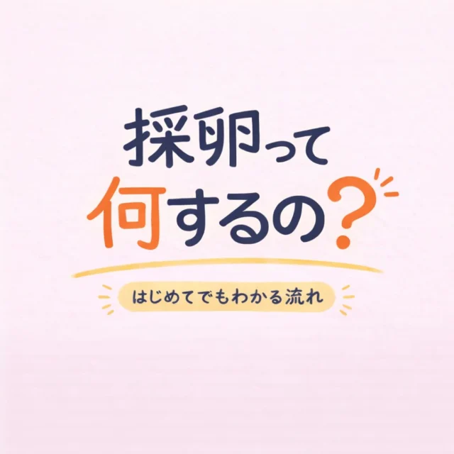 体外受精では、まず卵子の発育を確認しながら排卵誘発を行い、適切な時期に採卵を行います。

採卵後は、受精の確認を行い、受精卵を培養室で大切に管理します。

その後、胚の状態を確認しながら、患者さまに合わせたタイミングで胚移植へと進みます。

一つひとつの過程を丁寧に確認し、医師・看護師・培養士が連携して治療をサポートしています。

治療の流れを知ることで、不安が少しでも軽くなれば幸いです。

#不妊 #ivf #art #妊活 #採卵